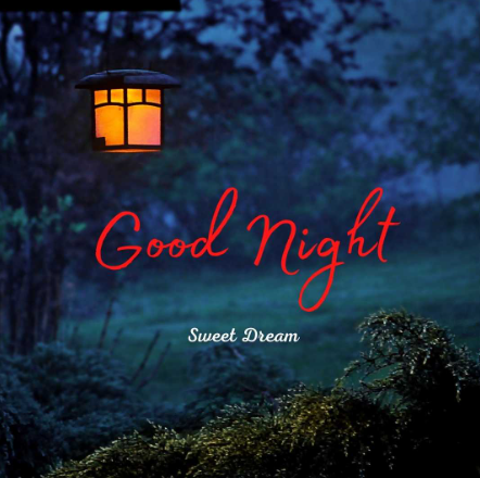 Good Night Quotes in Hindi|शुभ रात्रि की मधुर वाणी