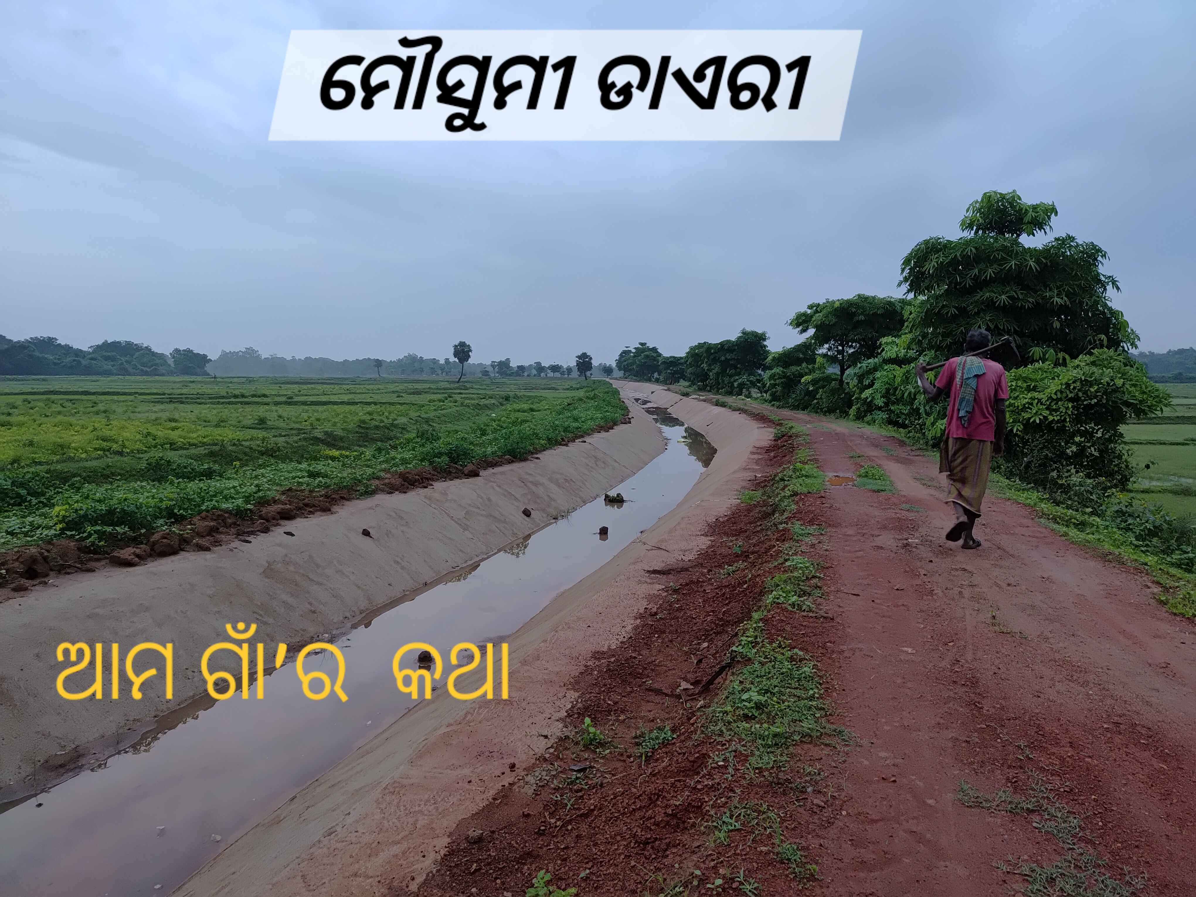 ମୌସୁମୀ ଡାଏରୀ (ଗାଁର କଥା)
