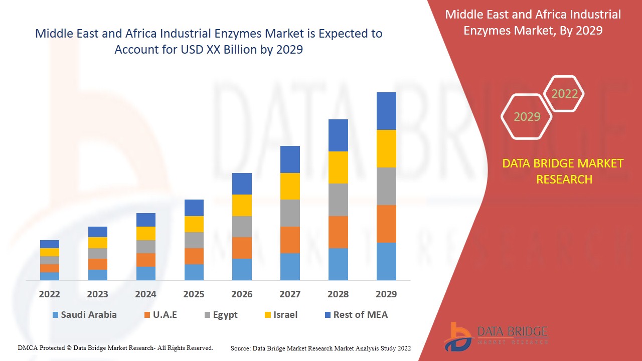 Middle East and Africa Industrial Enzymes Market Gains Traction with Expanding Food and Beverage App