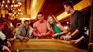 Understanding Live Cricket Betting Features on AllPanel