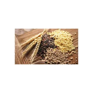 China Forage Seed Market Driving Sustainable Livestock Feed and Agricultural Productivity