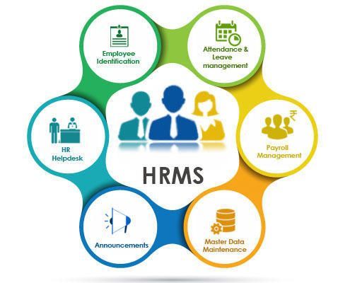 Why Are Businesses Switching to Cloud Based HRMS Software Faster Than Ever?