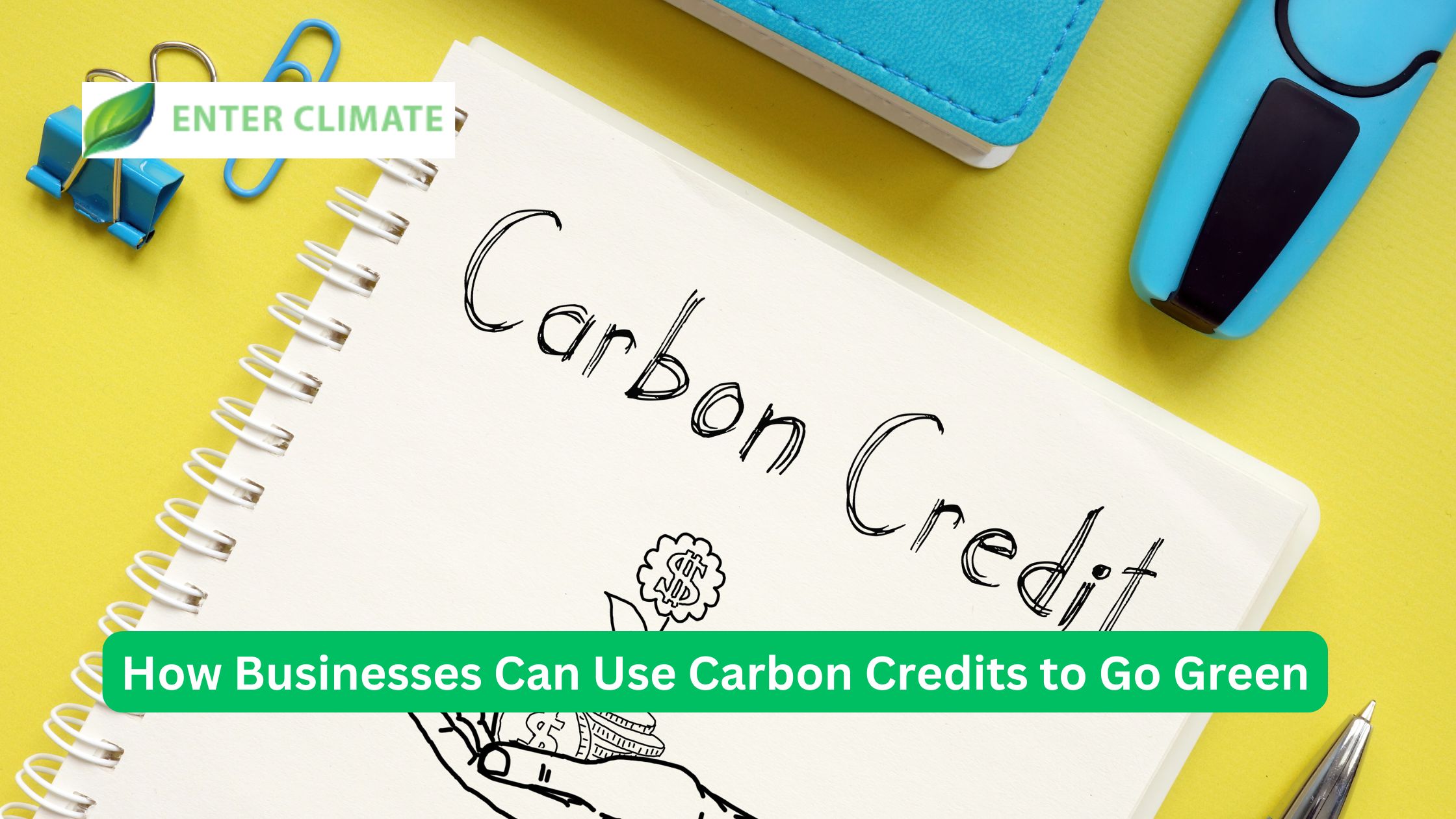 How Businesses Can Use Carbon Credits to Go Green