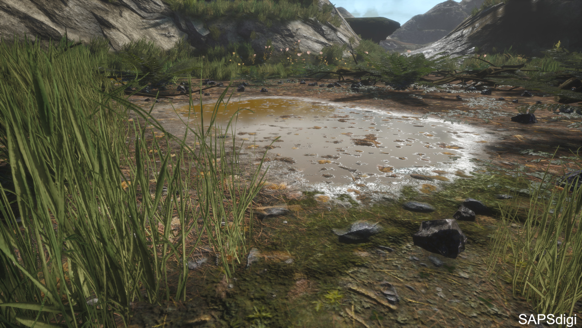 Crafting 3D Realistic Natural Forest Environments
