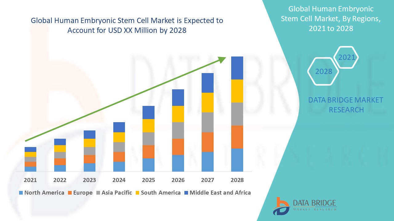 Human Embryonic Stem Cell Market – Research Opportunities, Growth Drivers & Market Outlook