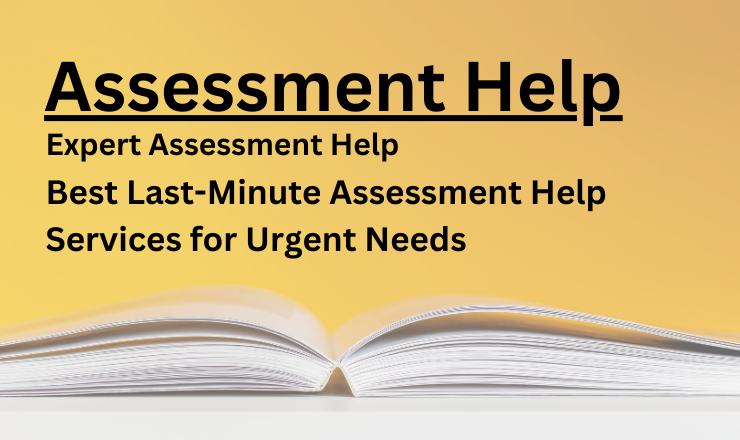 Best Last-Minute Assessment Help Services for Urgent Needs