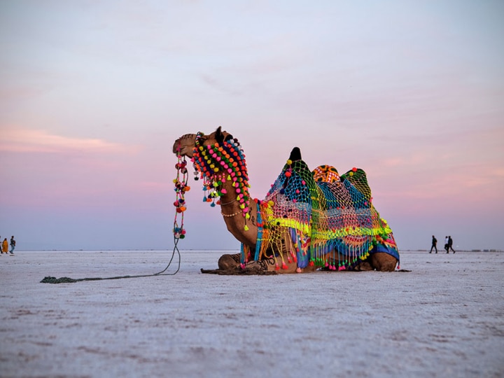 कच्छ का रण: संस्कृति और प्राकृतिक सौंदर्य का संगम"Rann of Kutch: A confluence of culture and natural beauty"