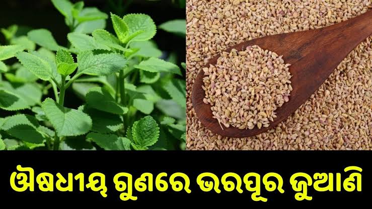 ଆମ ସ୍ବାସ୍ଥ୍ୟସେବା ବିଷୟ -ଜୁଆଣି