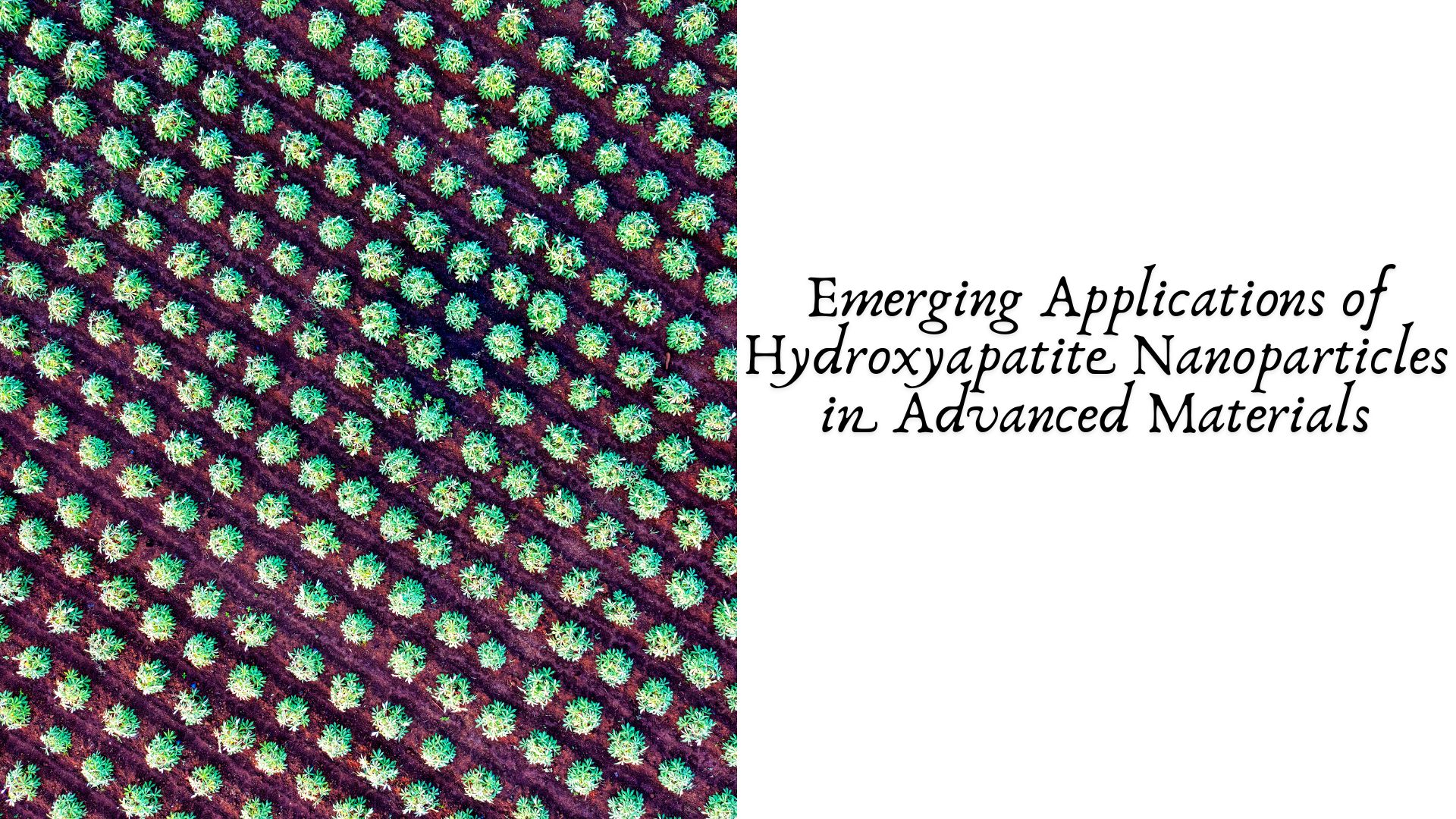 Emerging Applications of Hydroxyapatite Nanoparticles in Advanced Materials