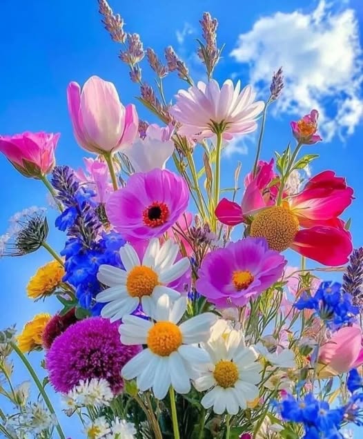 VIDEO GAME WRAP-UP: Aces Top Century Mark For Second Straight Video Game In, 101-78, Sway Indiana