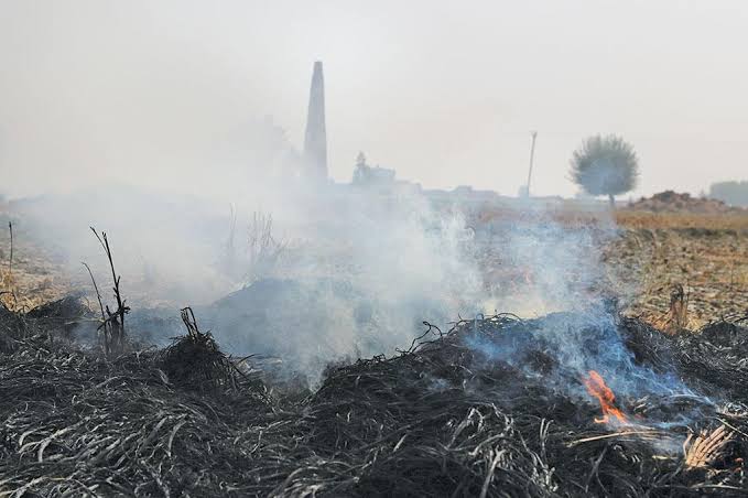 वायु प्रदूषण का प्रभाव मानव से लेकर अपित पर्यावरण में भी पड़ता है।