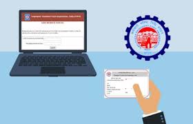 Monthly Contribution Statements Via PF Login: How To Download