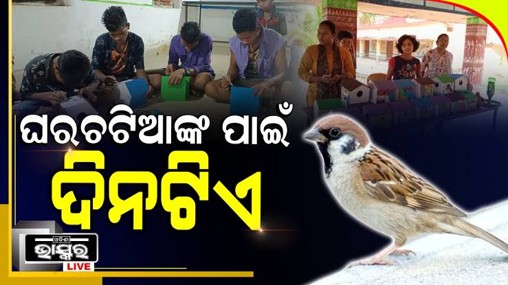 ଆଜି ବିଶ୍ଵ ଘରଚଟିଆ ଦିବସ