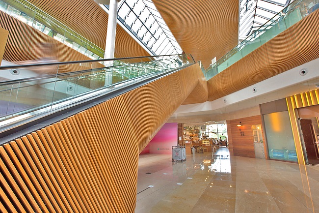 How to Choose the Best Bamboo Veneer for Interior Door Manufacturing