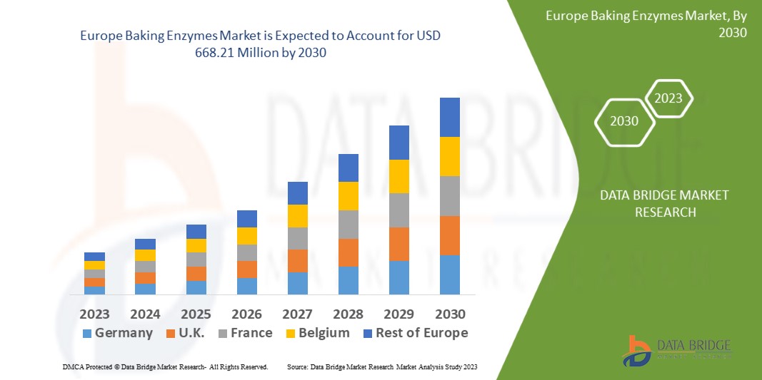 Europe Baking Enzymes Market Grows as Food Industry Embraces Clean Label and Efficiency Solutions