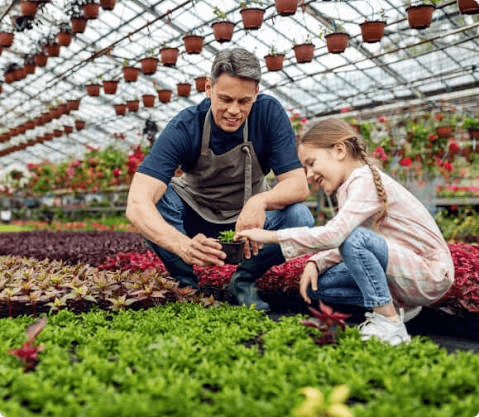 The Growing Role of Carotenoids in Targeted Nutrition Products