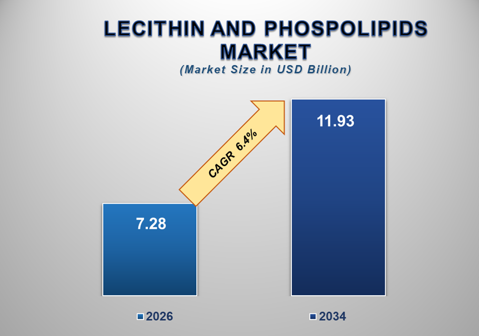 Lecithin and Phospholipids Market Size and Forecast (2026–2034)