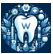 Best Mouthwash for Orthodontic Appliances: Keep Your Smile Healthy During Treatment