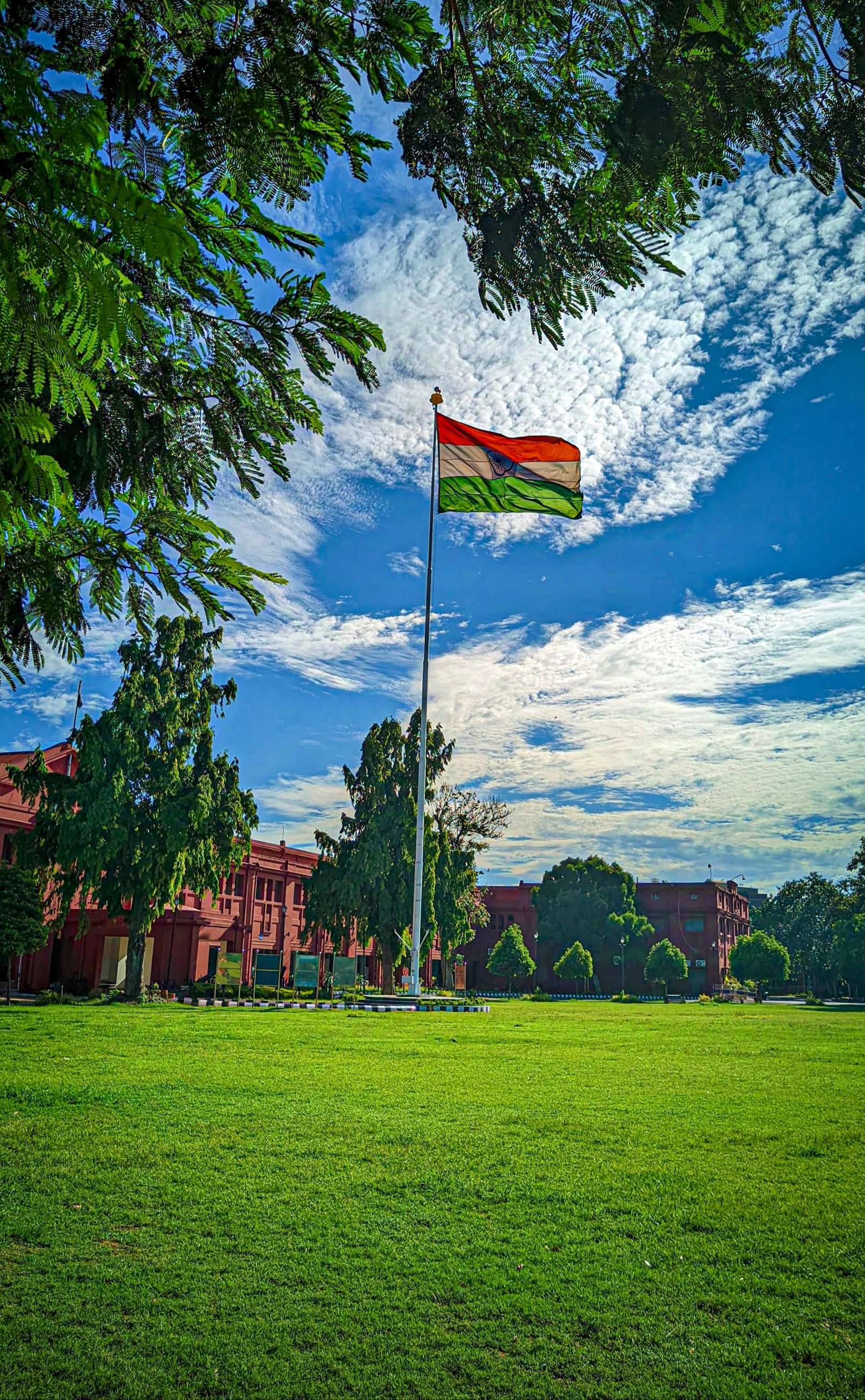 ମୋ ରେଭେନ୍ସା ରାଣୀ...