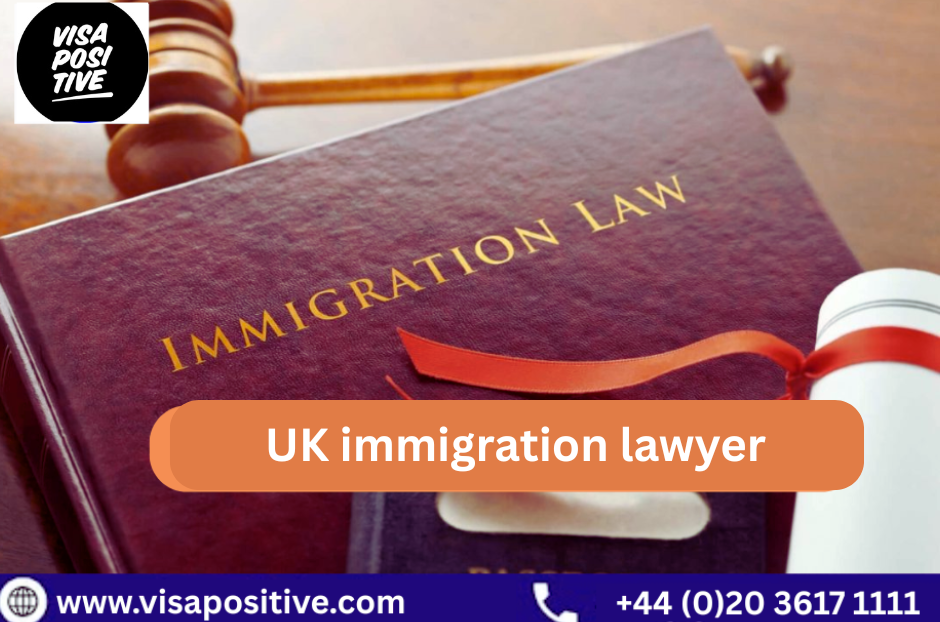 Understanding the Role of a UK Immigration Lawyer