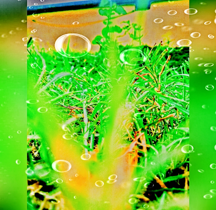 ଏକ ଭଲ ଜୀବନ ପାଇଁ ପାଞ୍ଚୋଟି ଭଲ ଜିନିଷ 