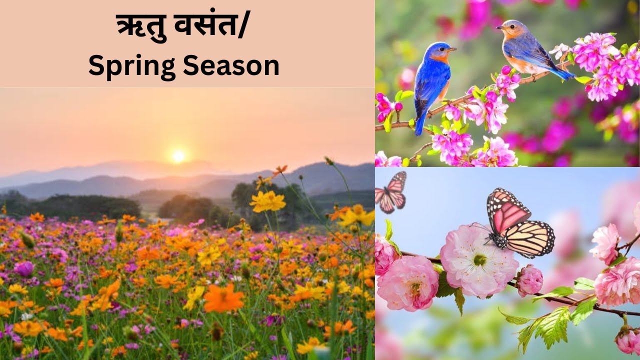 वसन्तऋतुः