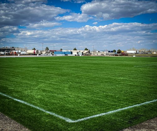 Yard Maintenance Service in Longmont, Colorado
