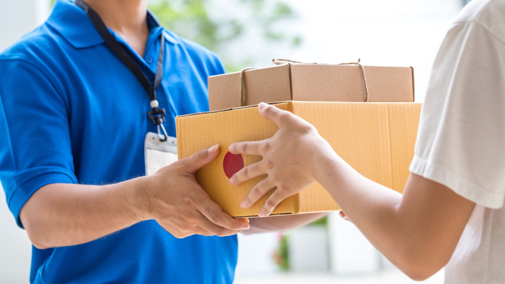 Domestic Courier Services | Fast and Essential for Modern Delivery