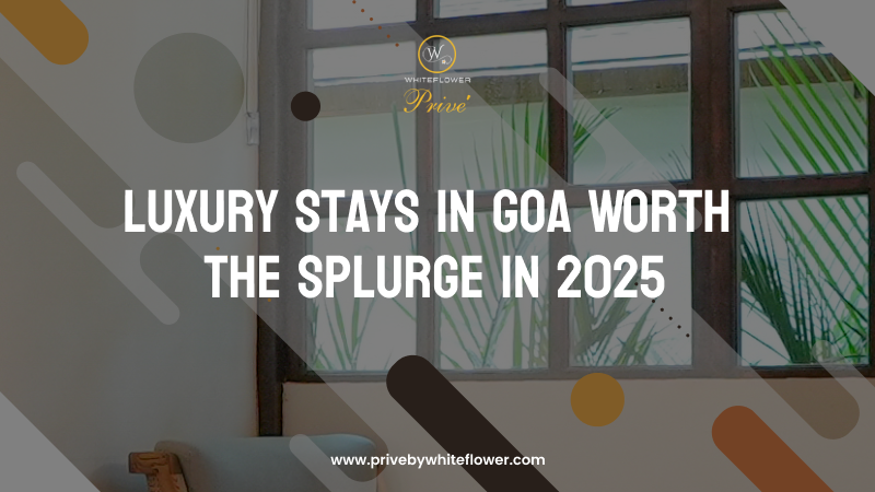 Luxury Stays in Goa Worth the Splurge in 2025