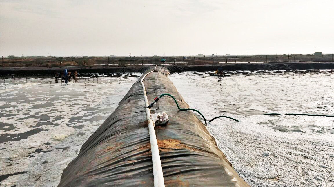 Top Things You Should Know About Pond Lining Sheets!!