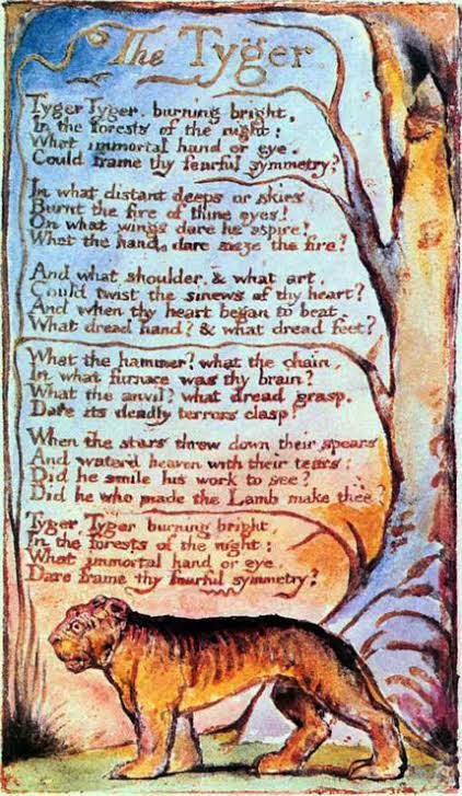 The Tyger by William Blake Notes for exam . 