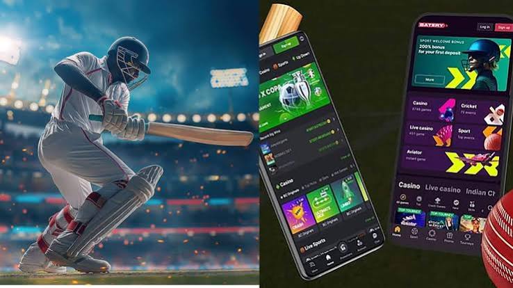 What Beginners Should Understand About Cricket Bet Online Accounts