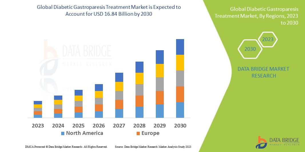 Diabetic Gastroparesis Treatment Market: Emerging Therapeutics and Care Strategies