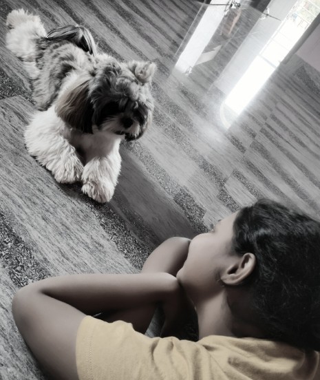 ୨୦୨୪ ମସିହାରେ ନିଜର ସ୍ମୃତି ଓ ଅନୁଭୂତି