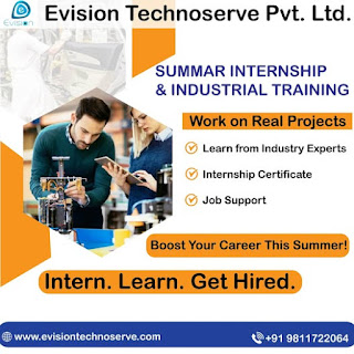 Technology Summer Internship with Evision Technoserve