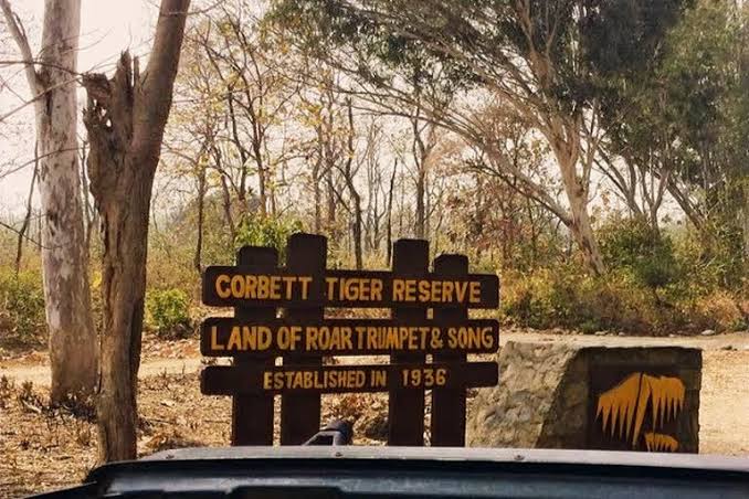 जिम कॉर्बेट नेशनल पार्क : उत्तर भारत के वाइल्डलाइफ एडवेंचर