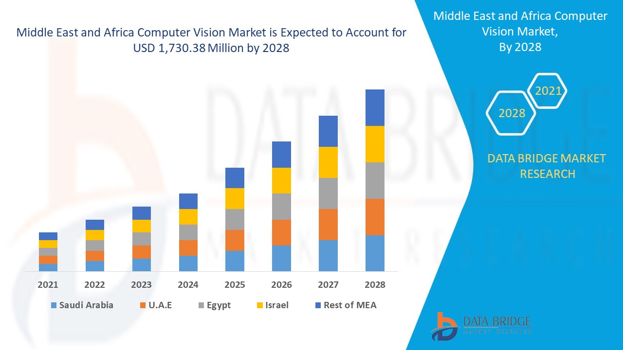 Middle East and Africa Computer Vision Market Expands Across Healthcare, Retail, and Security Sector