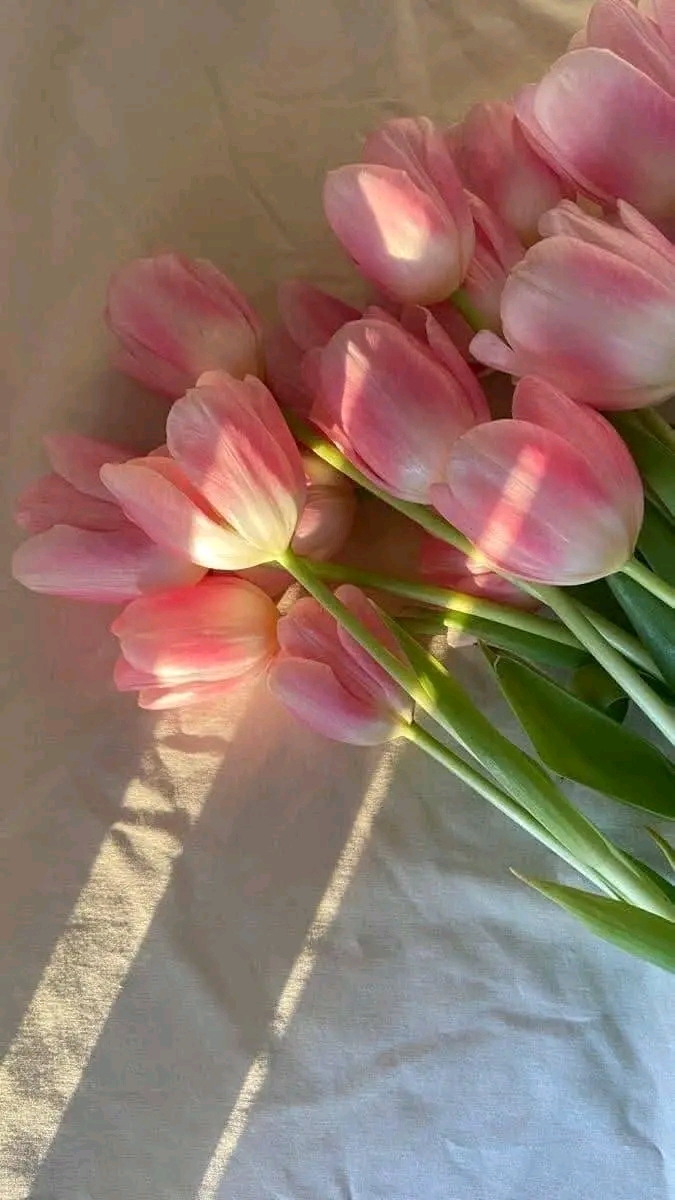 କାହାଣୀ 