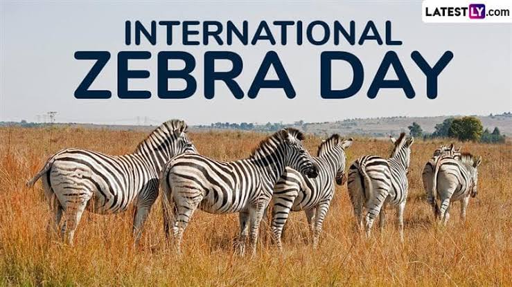 ଆନ୍ତର୍ଜାତୀୟ ଜେବ୍ରା ଦିବସ (International Zebra Day)