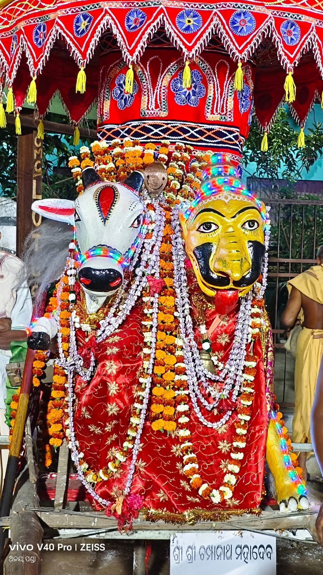ଅଷ୍ଟଶମ୍ଭୁ ଯାତ୍ରା, ନରସିଂହପୁର 