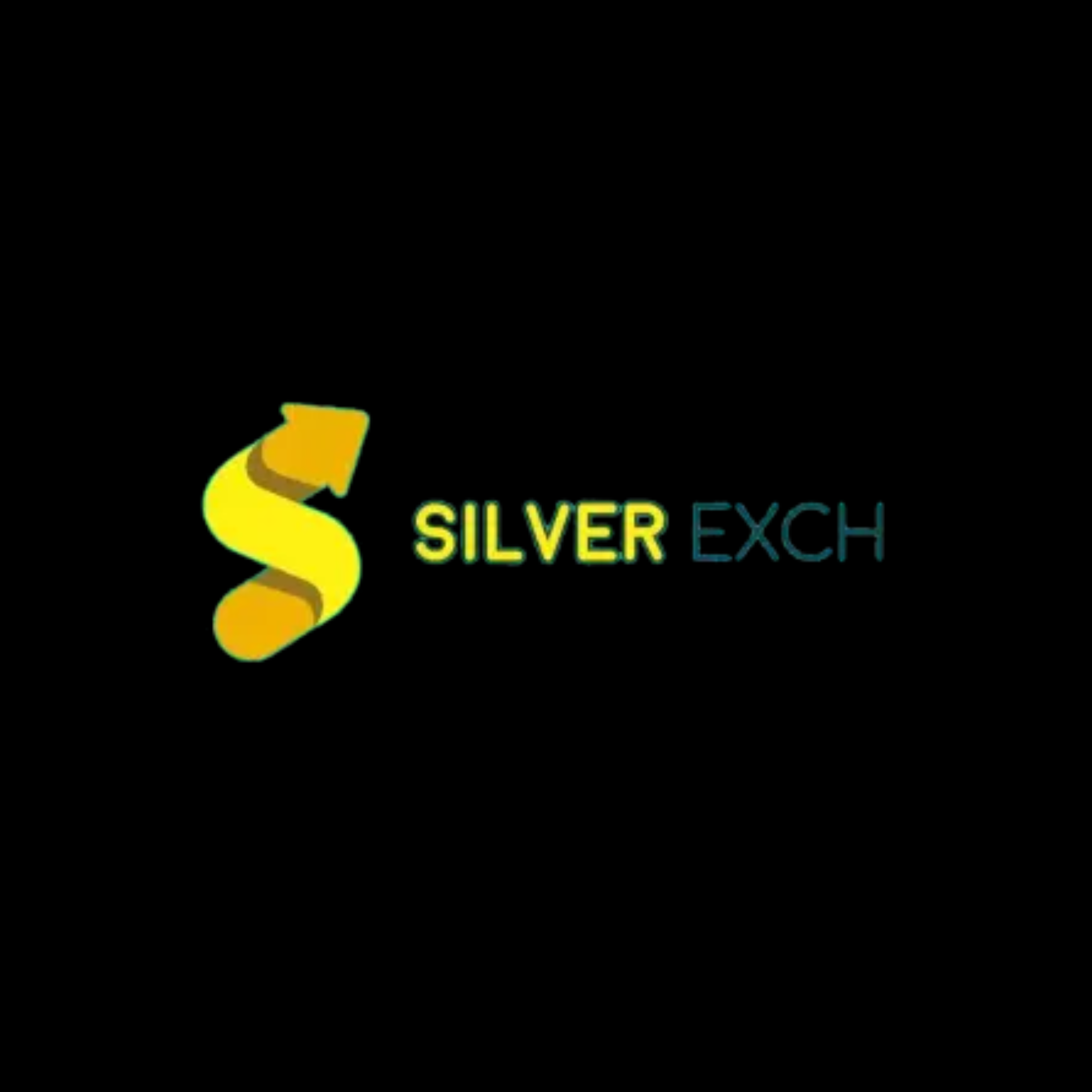 SilverExchange: Everything You Need to Know About the Online Platform