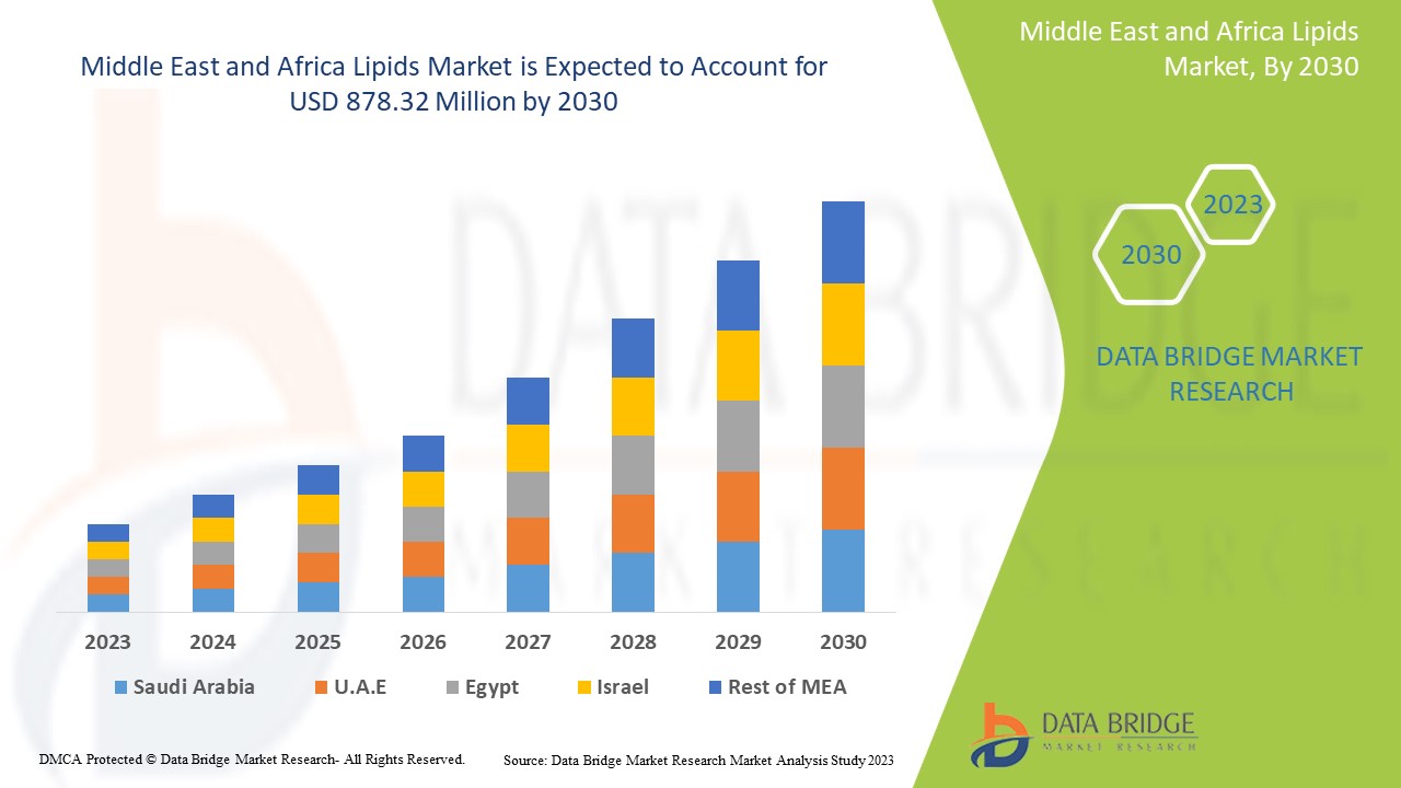 Middle East and Africa Lipids Market Intelligence Report with Industry Growth Projections