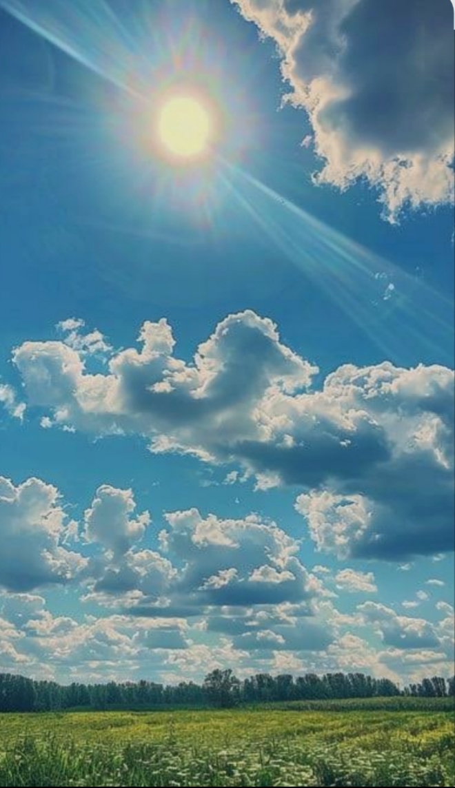 ମୌସୁମୀ ଡାଏରୀ 2