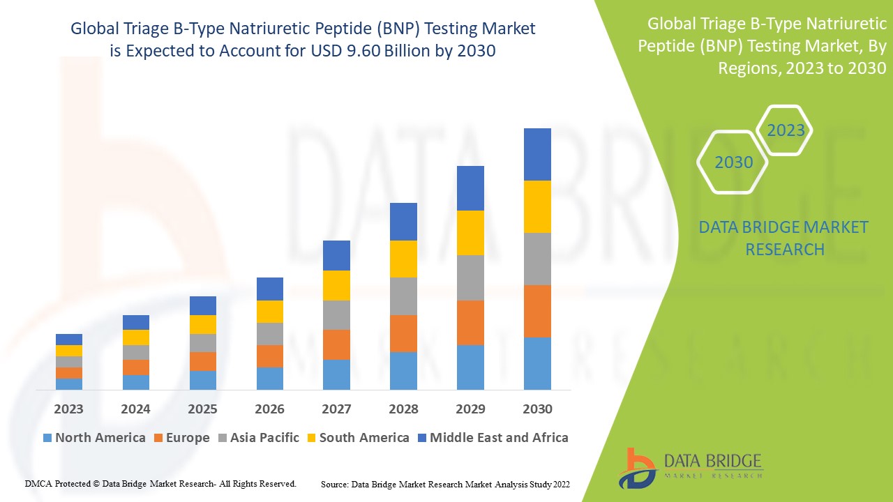 Triage B-Type Natriuretic Peptide (BNP) Testing Market Size, Trends Analysis and Forecast by 2030