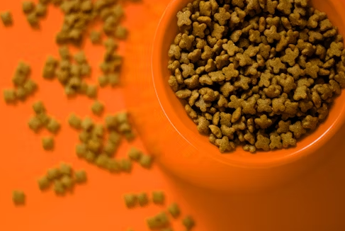 Switching to Josera Cat Food: What Every Cat Owner Should Know