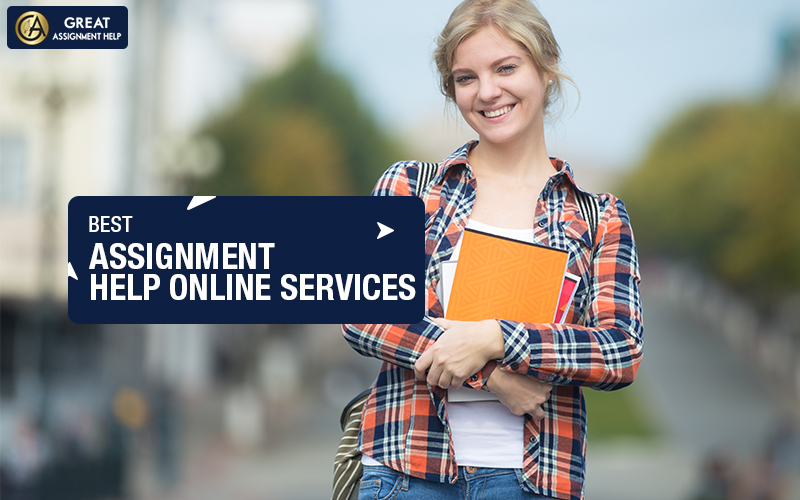 Online Assignment Helper: Get Assistance For Diverse Writing Papers