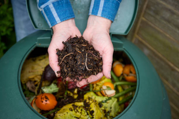Can You Recommend the Best Worm Farming Equipment for Beginners?