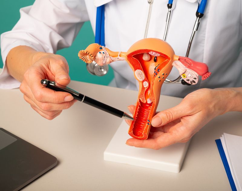 IUI Treatment In Delhi: Your Path To Parenthood Begins Here