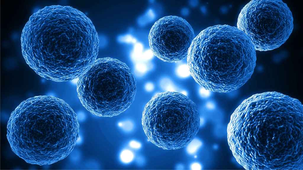 Role of Cell-Based Assay in Toxicity Testing and Safety Studies
