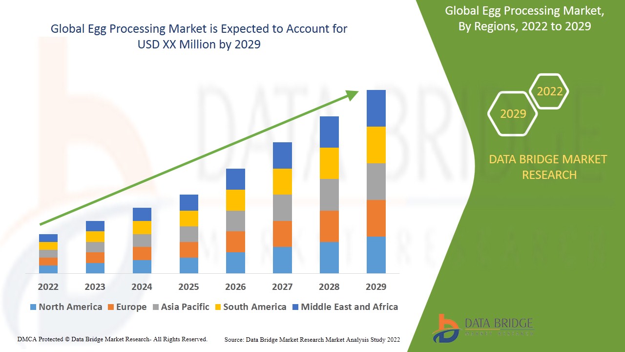 Cracking Efficiency: Trends in the Egg Processing Market
